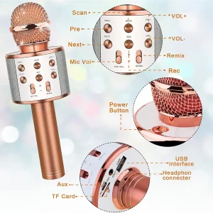 karaoke wireless microphone
