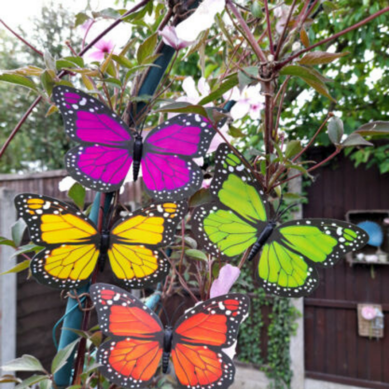 Butterfly Clip Decorations