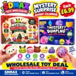 Mystery Dumpling Advent Calendar 24 Day Squeeze Toy – SDMAX Toys Wholesaler