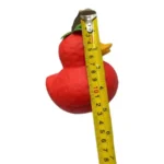 Strawberry Duck Squishy Toy soft squeeze fidget toy – SDMAX Toys Wholesaler