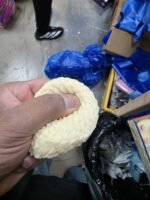 Cream-coloured Noodle Squishy Toy with a raised noodle-style texture, approximately 7 × 7 cm, shown in a 12-piece retail display box from SDMAX Toys Wholesaler.