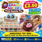 Brady Bubeey brown poop-shaped squishy toy with pink smile, individual packaging and 12-piece wholesale display by SDMAX Toys Wholesaler.