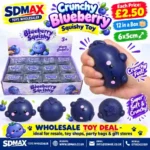 Crunchy Blueberry Squishy Toy – Soft Sensory Fidget Toy, 6 × 5cm, Box of 12 Wholesale