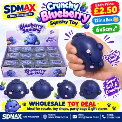 Crunchy Blueberry Squishy Toy – Soft Sensory Fidget Toy, 6 × 5cm, Box of 12 Wholesale